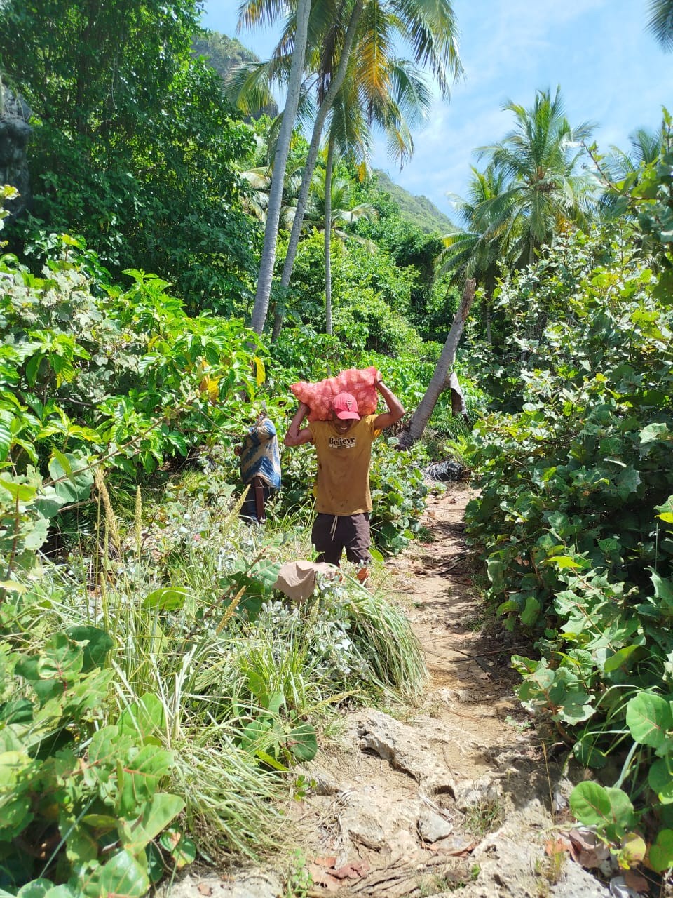 A grower carrying a harvest sack along a mountain trail in Samaná, Dominican Republic